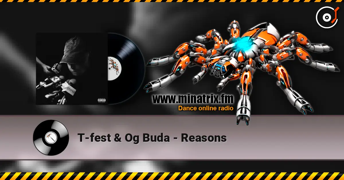 T-fest & Og Buda - Reasons online in hoher Qualität hören | Minatrix.FM