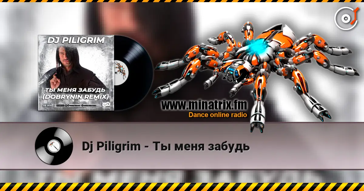 Dj Piligrim - Ты меня забудь online in hoher Qualität hören | Minatrix.FM