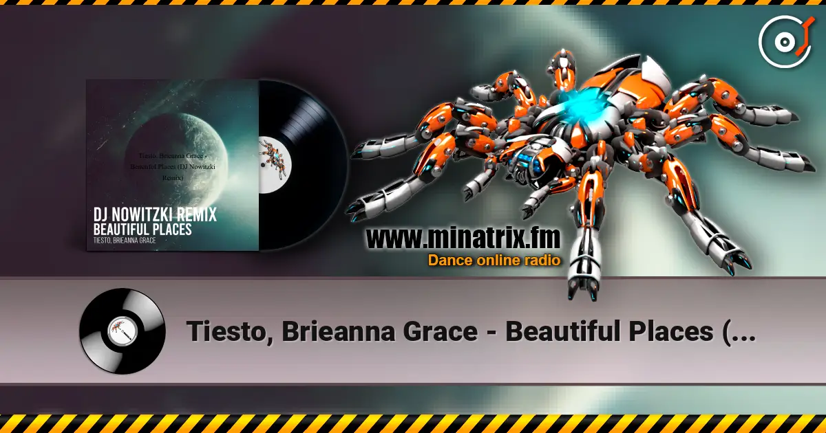 Tiesto, Brieanna Grace - Beautiful Places (DJ Nowitzki Remix) online in hoher Qualität hören | Minatrix.FM