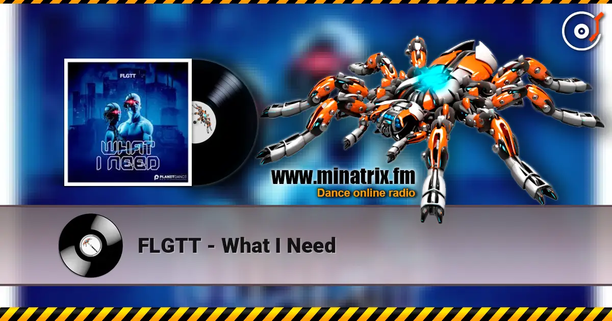 FLGTT - What I Need online in hoher Qualität hören | Minatrix.FM