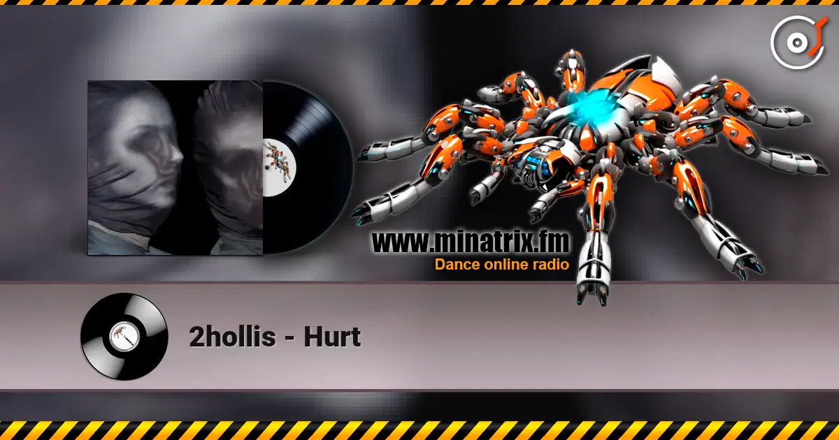 2hollis - Hurt online in hoher Qualität hören | Minatrix.FM