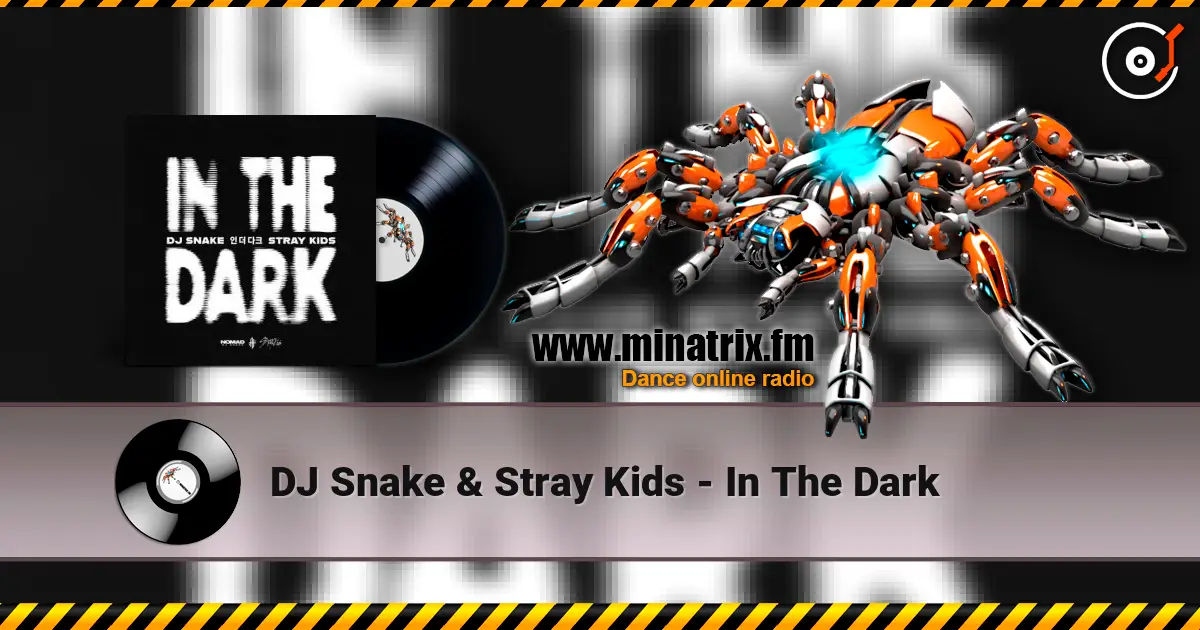 DJ Snake & Stray Kids - In The Dark online in hoher Qualität hören | Minatrix.FM