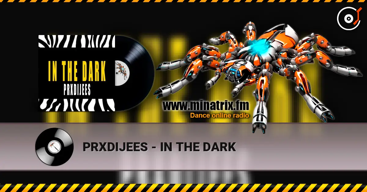 PRXDIJEES - IN THE DARK online in hoher Qualität hören | Minatrix.FM